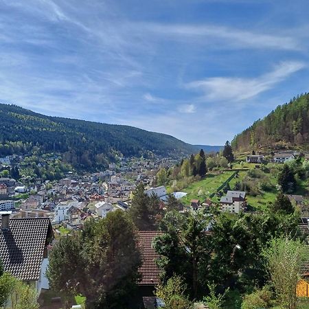 Ferienwohnung Panoramablick Bad Wildbad Eksteriør billede
