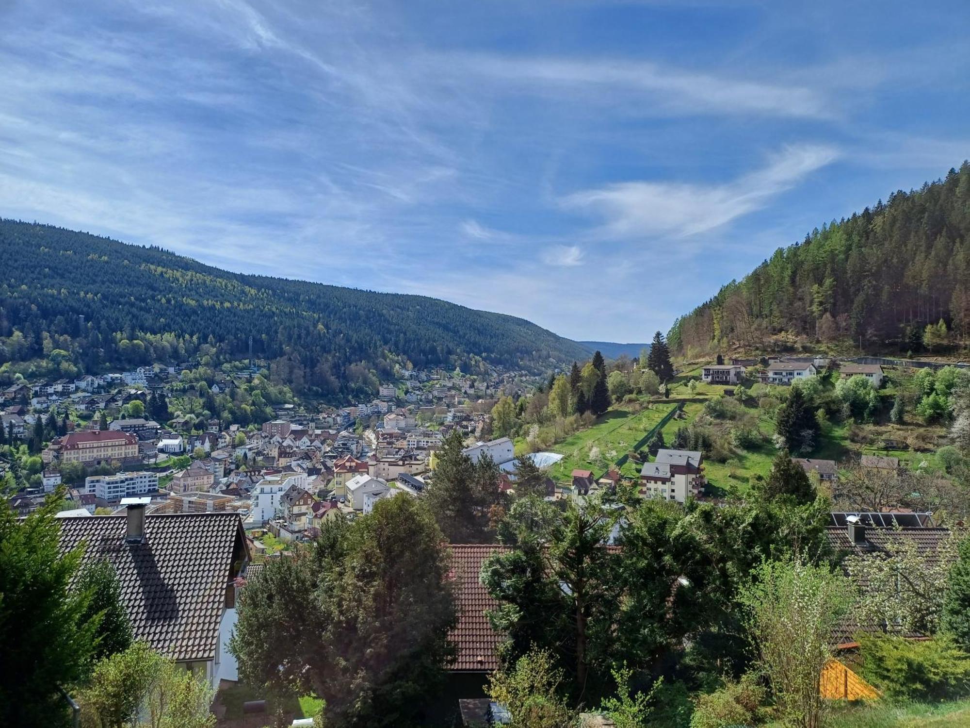 Ferienwohnung Panoramablick Bad Wildbad Eksteriør billede
