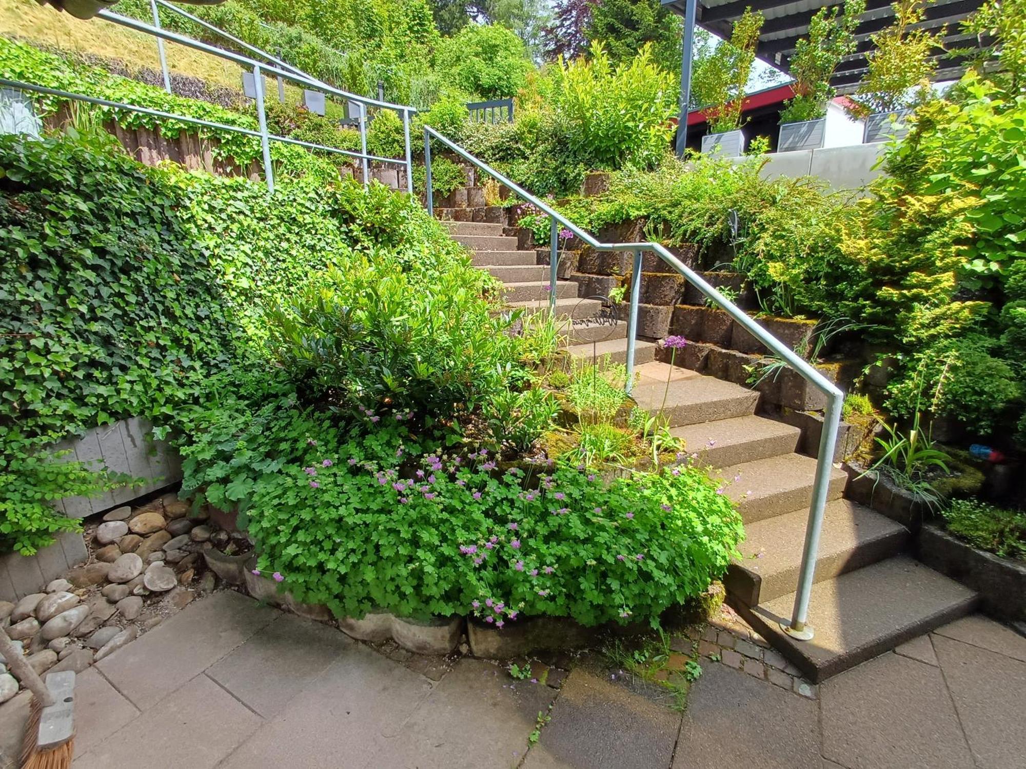 Ferienwohnung Panoramablick Bad Wildbad Eksteriør billede