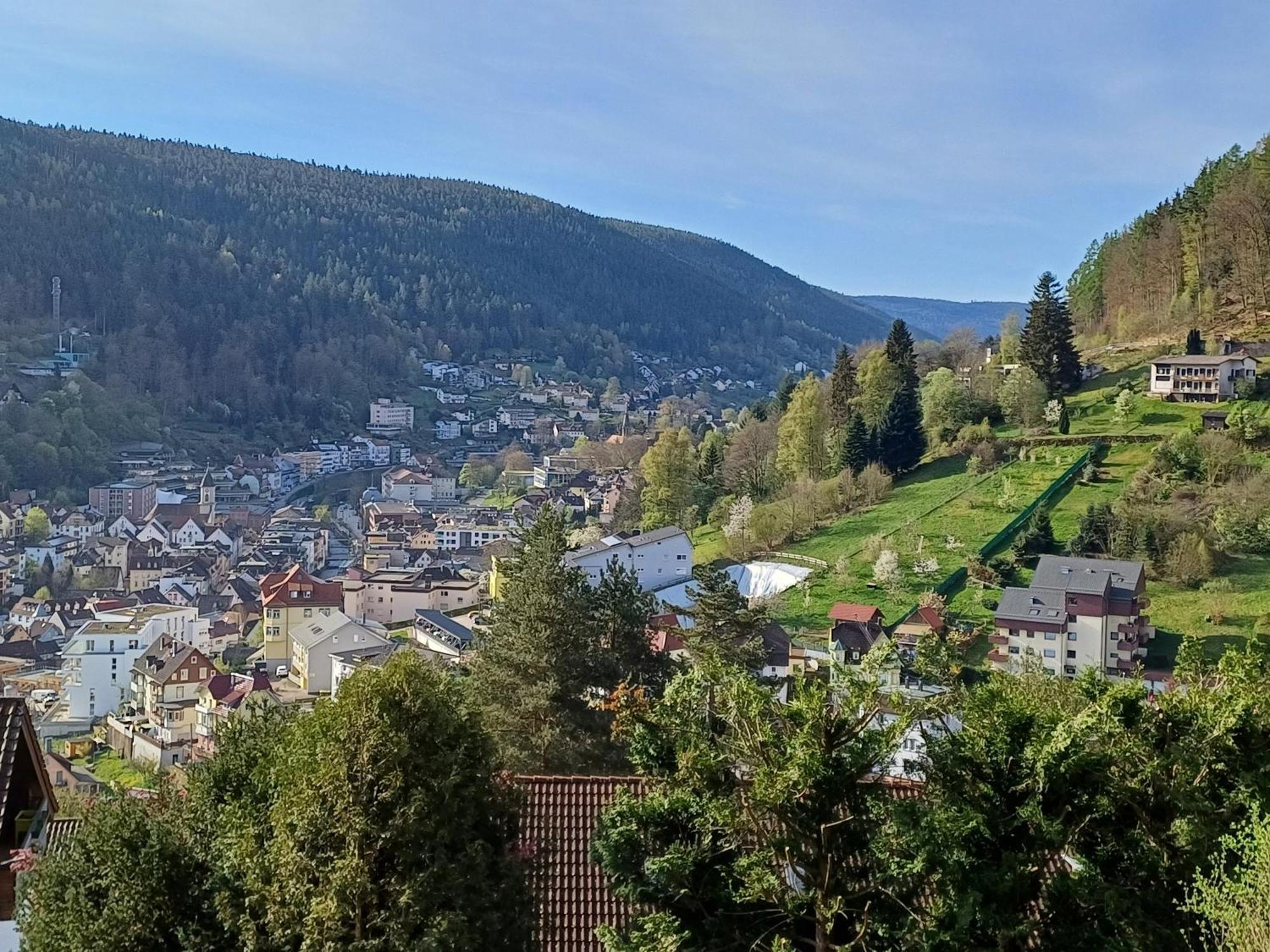 Ferienwohnung Panoramablick Bad Wildbad Eksteriør billede